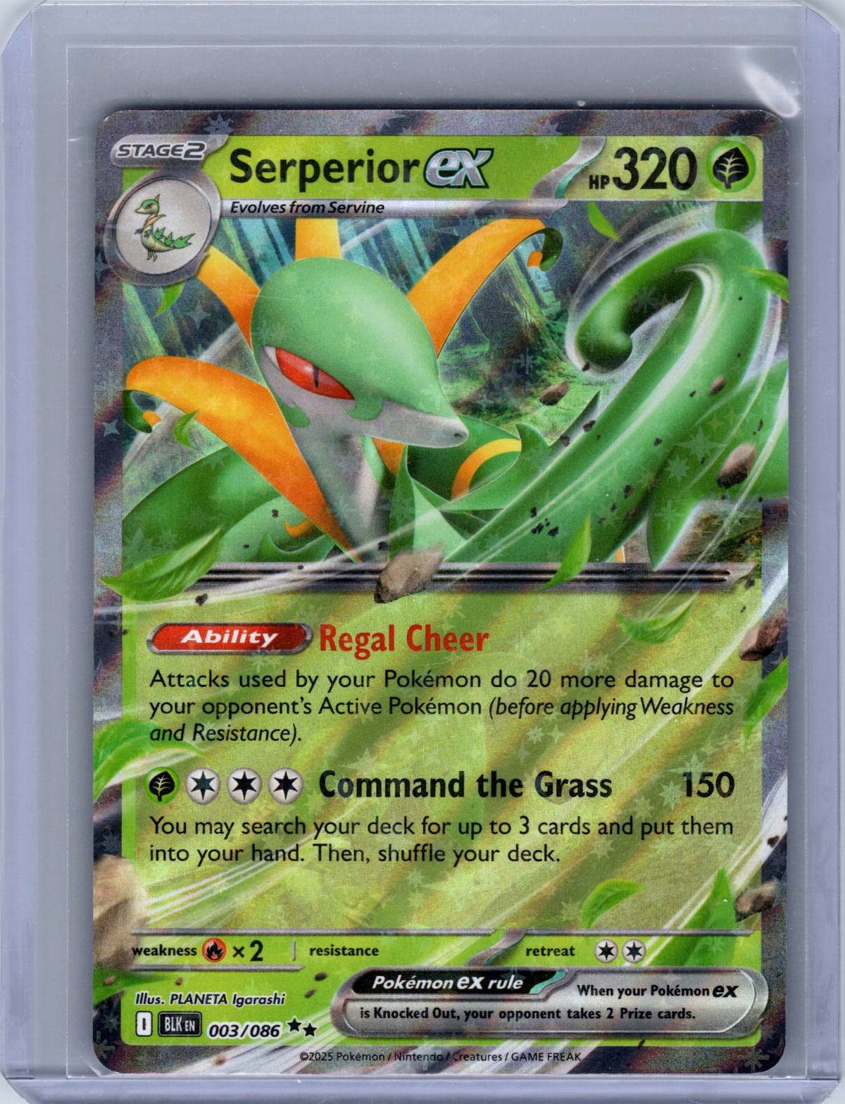 Serperior ex #003/086 SV: Black Bolt Holo