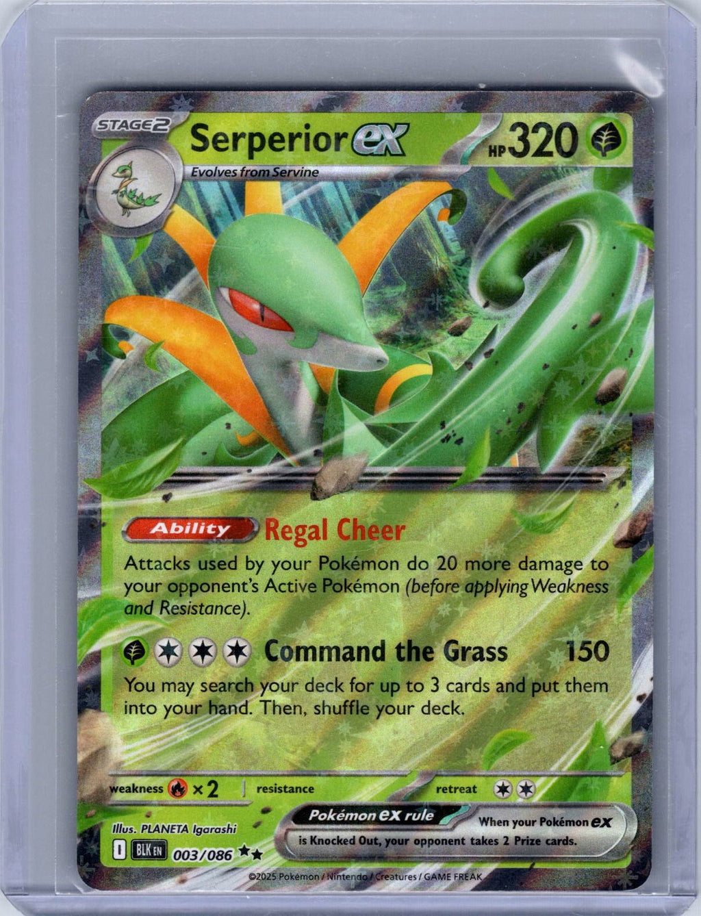 Serperior ex #003/086 SV: Black Bolt Holo